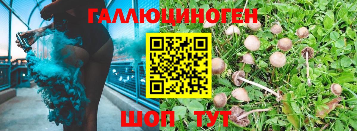 Галлюциногенные грибы ЛСД  Псилоцибиновые грибы ЛСД  Мурманск  Вход с VPN 