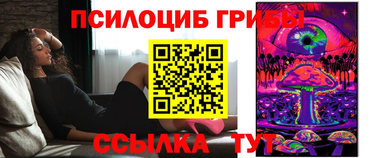 Галлюциногенные грибы Psilocybe Мурманск